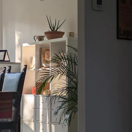 Casa Flamingo *